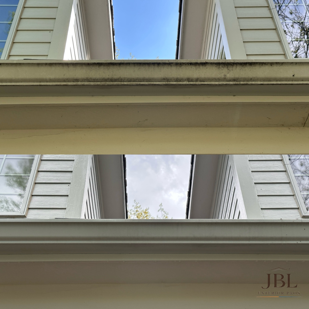 Fascia and soffit checked from the ladder during a gutter clean
